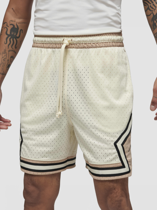 Шорти Jordan Dri-Fit Sport модель DX1487-113 Фото