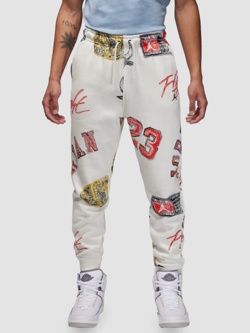 Брюки Jordan M Ess Aop Flc Pant модель FN4547-133 Фото