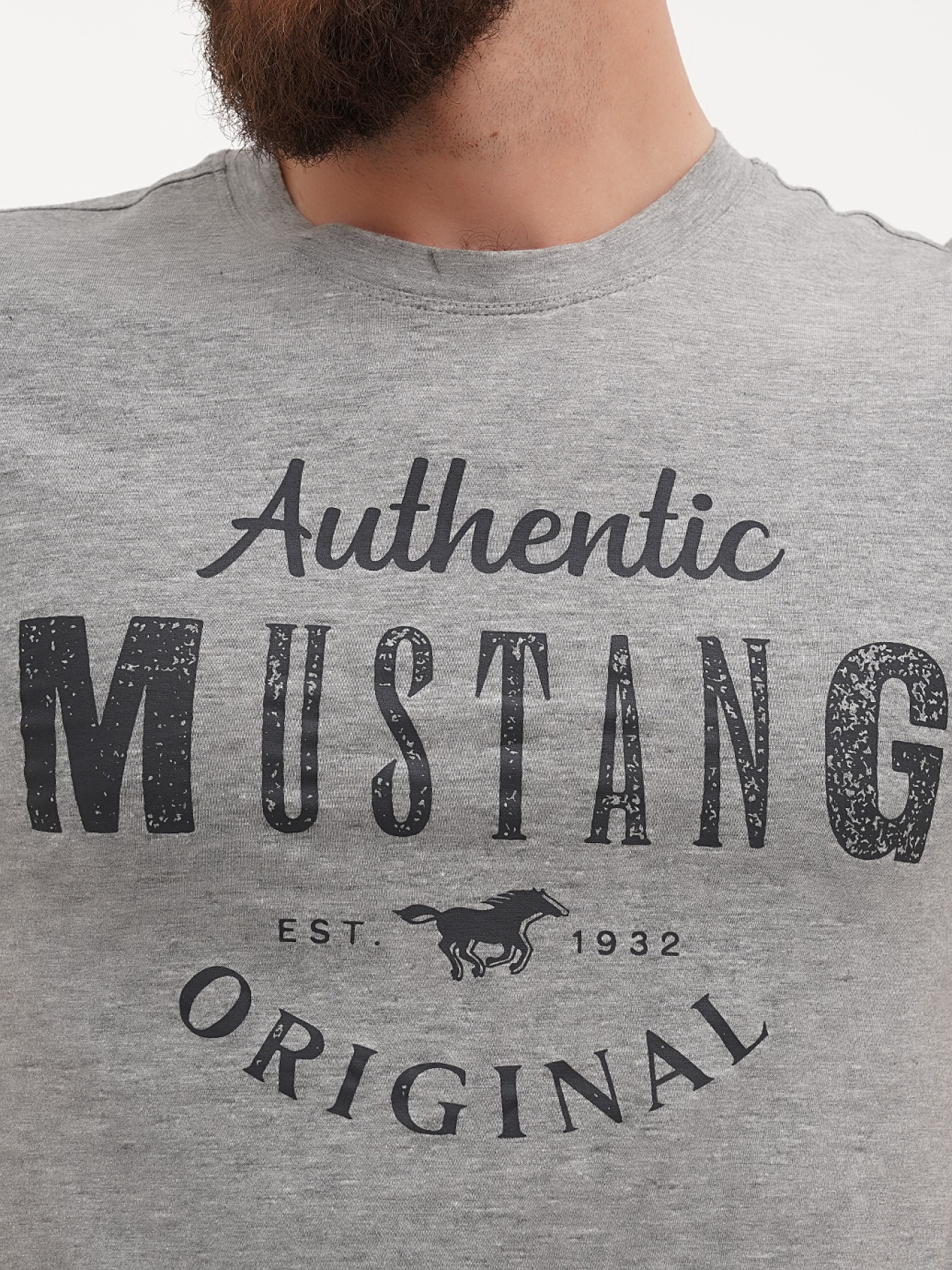 Футболки и поло Mustang Jeans Alex C Print модель 1012989 Фото