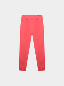 Брюки PUMA Ess Pants Fl Cl M модель 847233 Фото