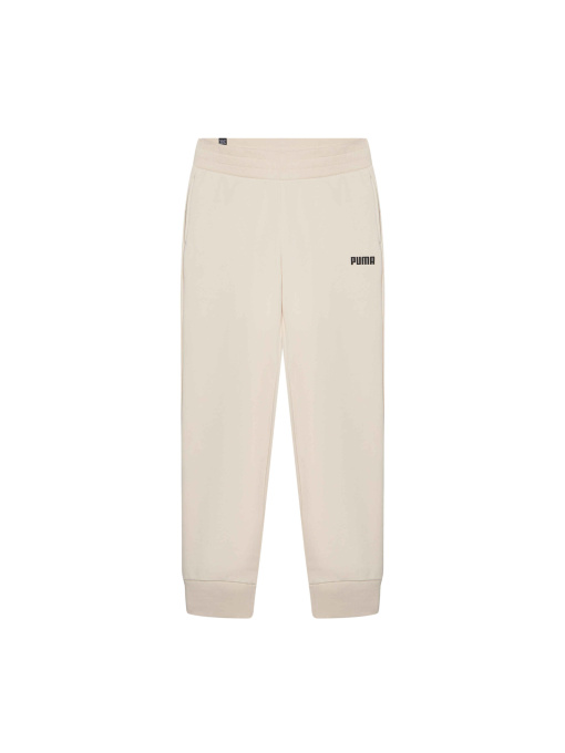 Спортивні штани PUMA Ess Sweat Pants Closed Fl W модель 847206 Фото