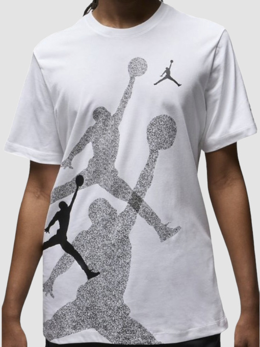 Футболки і поло Jordan Brand Ss Hbr Crew модель FN6025-100 Фото