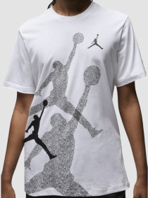 Футболки і поло Jordan Brand Ss Hbr Crew модель FN6025-100 Фото