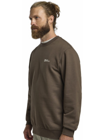 Худі та світшоти Jack Wolfskin Essential crewneck m модель A63843_5719 Фото
