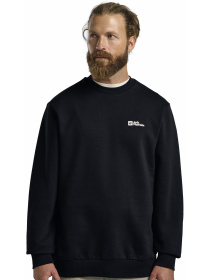 Худі та світшоти Jack Wolfskin Essential crewneck m модель A63843_C0413 Фото
