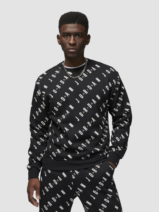 Худи и свитшоты Jordan Graphic Fleece Crew-Neck Sweatshirt модель DX9173-010 Фото