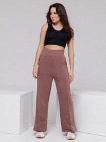 Штани ISSA Plus модель 12312A_brown Фото