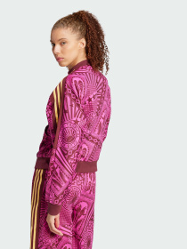 Худі та світшоти Adidas модель JD6297 Фото