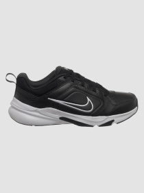 Кроссовки NIKE Defy All Day модель DJ1196-002 Фото