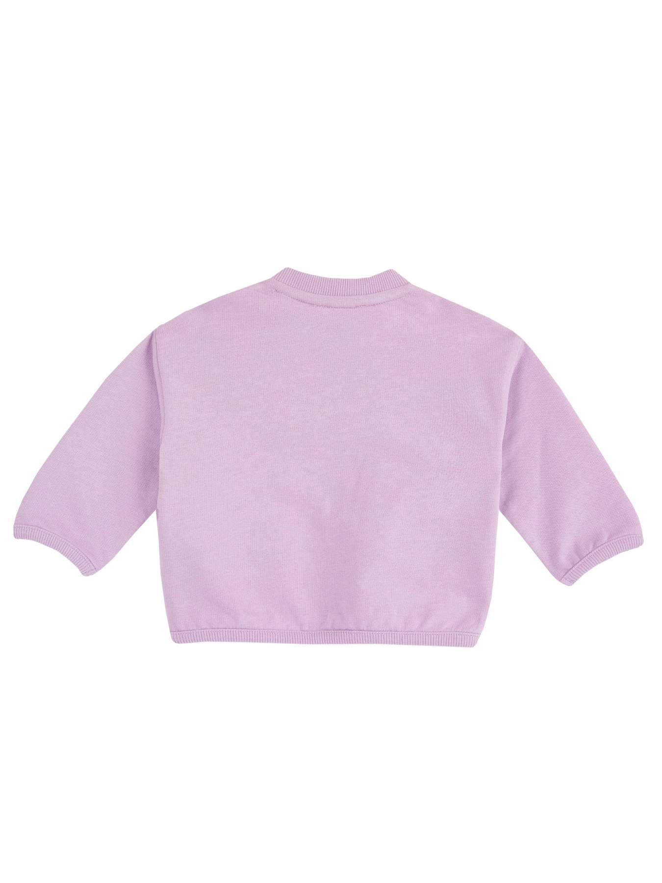 Худи и свитшоты Chicco модель 090.69868.012 Фото
