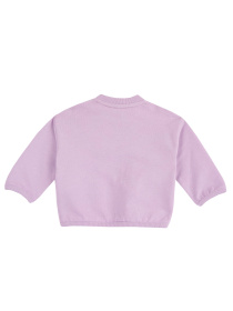 Худи и свитшоты Chicco модель 090.69868.012 Фото