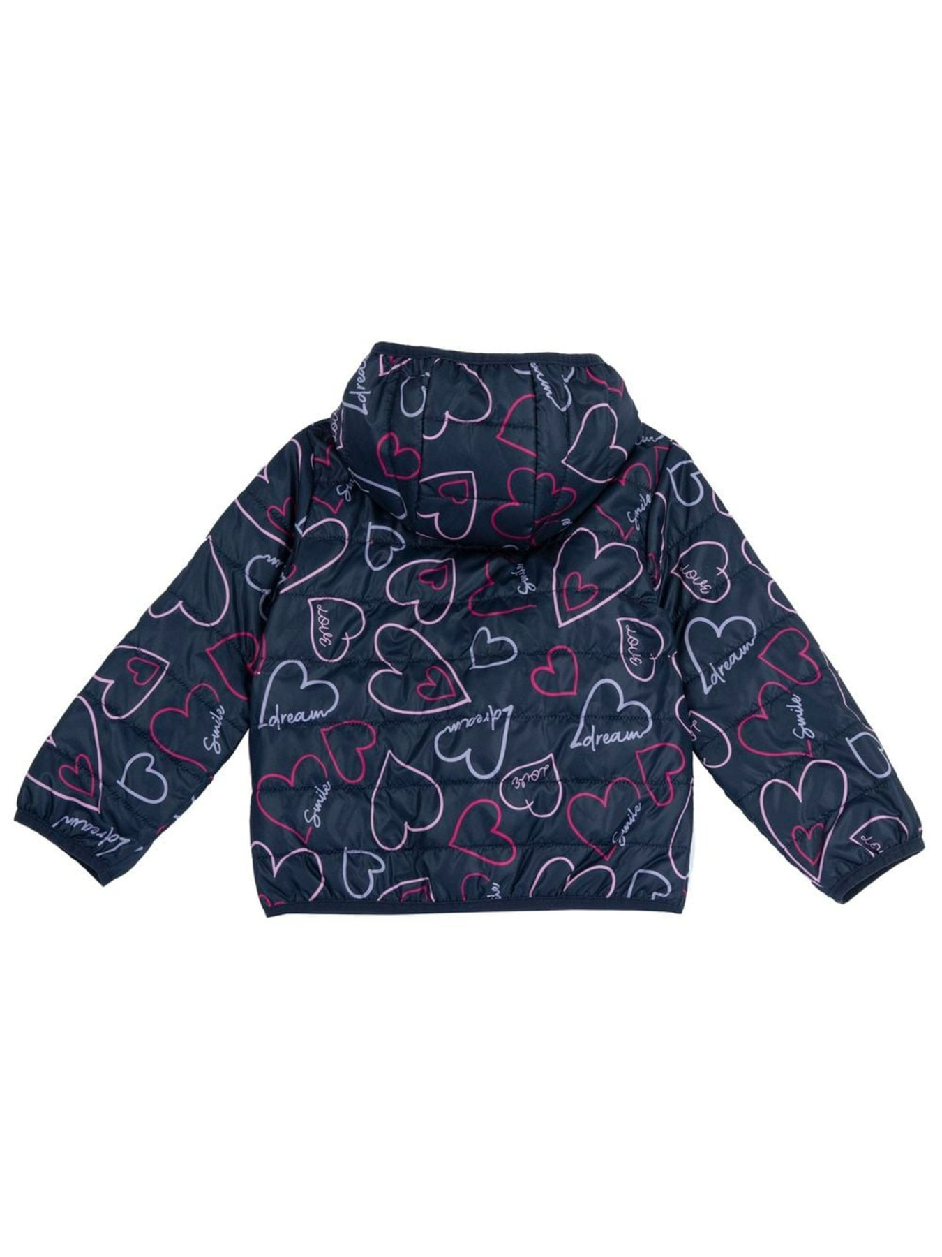 Куртки та дублянки Chicco модель 090.87860.086 Фото