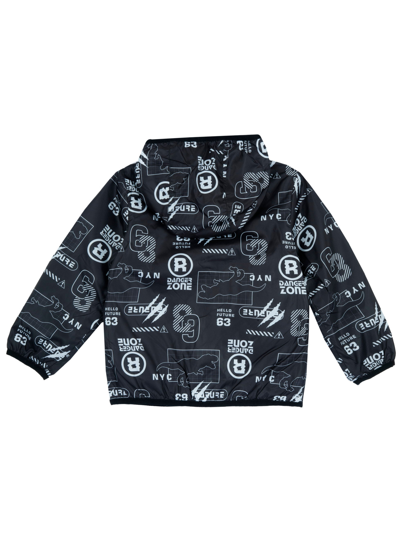 Куртки та дублянки Chicco модель 090.87866.099 Фото