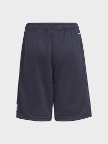 Шорты Adidas модель GS8895 Фото