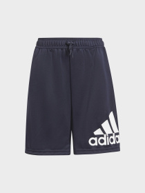 Шорты Adidas модель GS8895 Фото