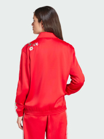 Худи и свитшоты Adidas Graphics модель IS2429 Фото