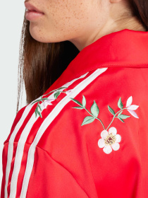 Худи и свитшоты Adidas Graphics модель IS2429 Фото