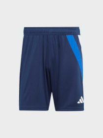 Шорты Adidas модель IK5729 Фото