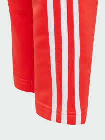 Брюки Adidas модель IJ9549 Фото