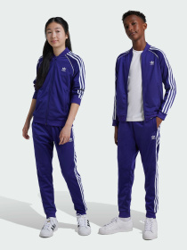 Штани Adidas Adicolor модель IY7464 Фото