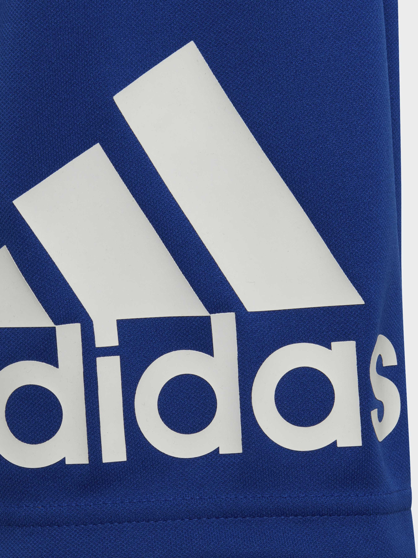 Шорты Adidas модель HE9334 Фото
