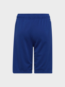 Шорты Adidas модель HE9334 Фото
