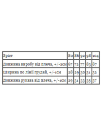 Одяг для немовлят Носи своє модель 5076-016-5-kicq-svtla-m-qta Фото