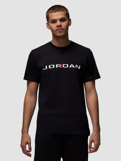 Футболки і поло Jordan Air T-Shirt модель IB7353-010 Фото