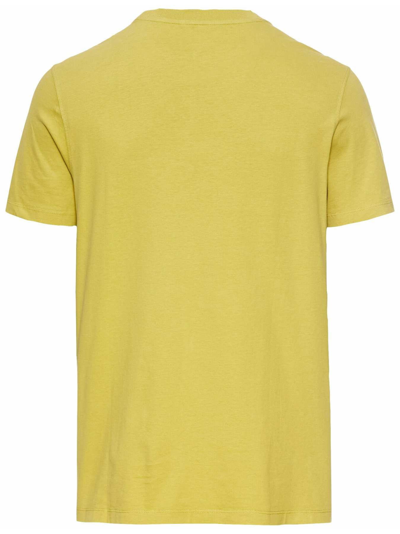 Футболки і поло Camel Active T-shirt 1/2 модель 409700-5T17-33 Футболки і поло Camel Active T-shirt 1/2 модель 409700-5T17-33 Фото