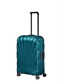 Дорожні сумки та валізи Samsonite модель CS221003 Фото