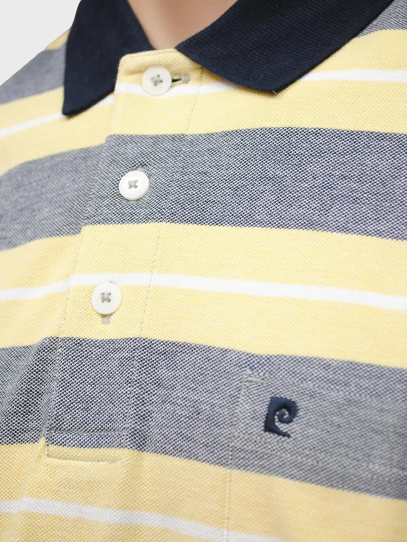Футболки и поло Pierre Cardin модель C5 21424.2116.2112 Футболки и поло Pierre Cardin модель C5 21424.2116.2112 Фото