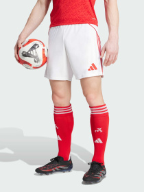Шорты Adidas модель JI9515 Фото