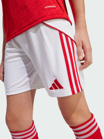 Шорты Adidas модель JI9528 Фото