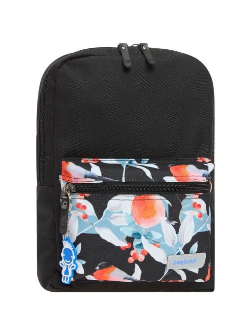 Рюкзаки Bagland модель BGYoungMiniMulticolored23324RKZK Фото