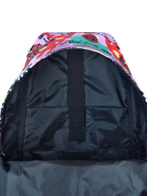 Рюкзаки Bagland модель BGStylishMulticolored14RKZK Фото