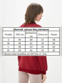 Худі та світшоти HiBrand модель Wn072 Фото