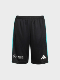 Шорты Adidas модель JV5428 Фото