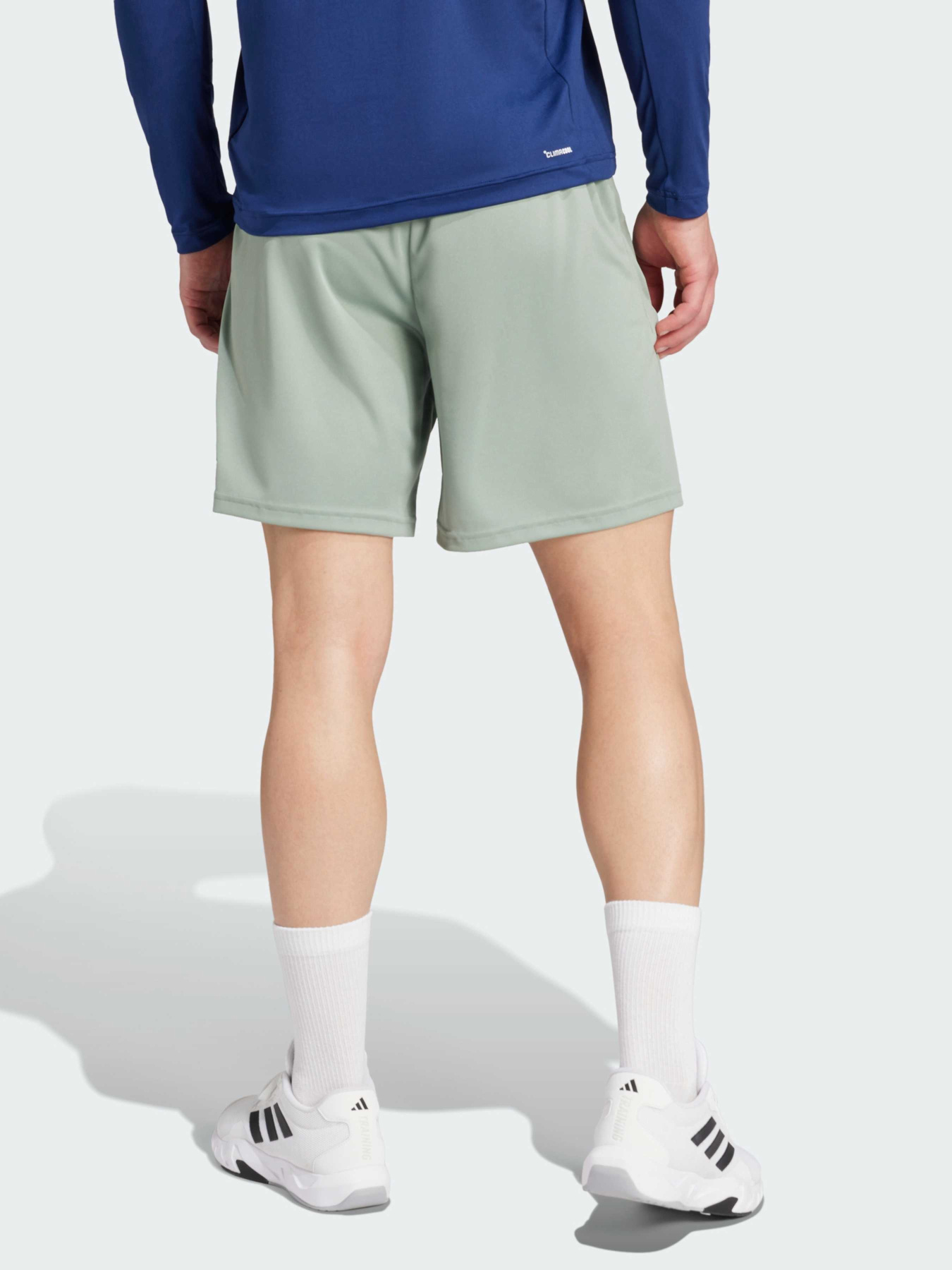 Шорти Adidas модель JD4872 Фото