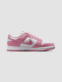 Кросівки NIKE Dunk Low Next Nature модель DD1873-112 Фото