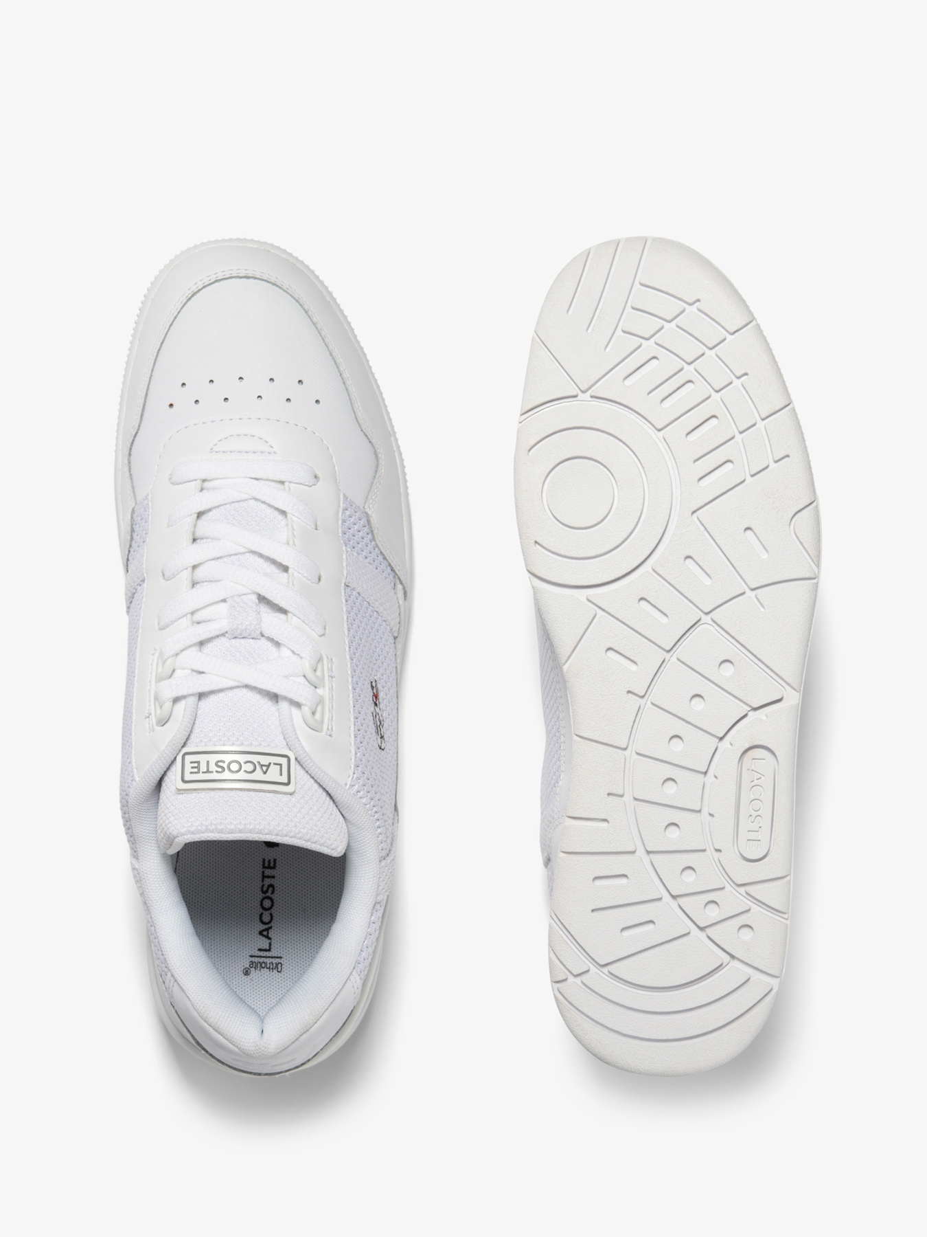 Кросівки Lacoste модель 745SMA007365T Кросівки Lacoste модель 745SMA007365T Фото
