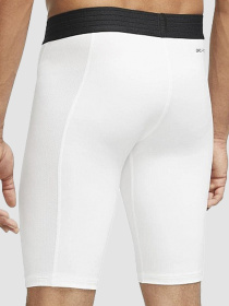 Шорти Jordan Sport Dri-Fit модель DM1813-100 Фото