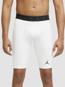 Шорти Jordan Sport Dri-Fit модель DM1813-100 Фото