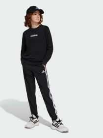 Штани Adidas Adidas Essentials модель JD6500 Фото