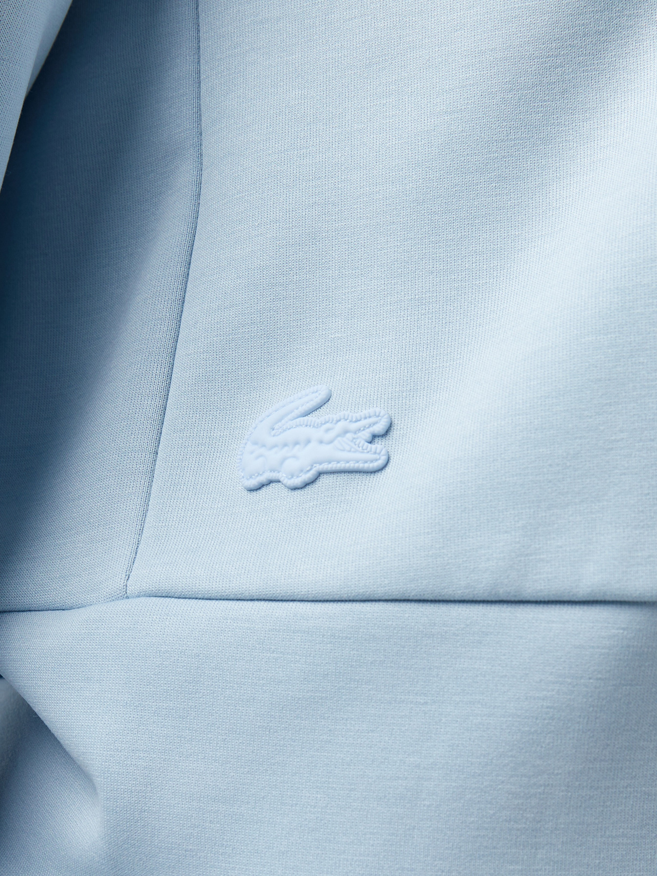 Худі та світшоти Lacoste модель SF0514T01 Фото