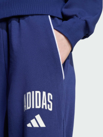 Брюки Adidas модель JM1539 Фото