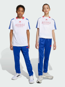 Штани Adidas Tiro модель JW5106 Фото