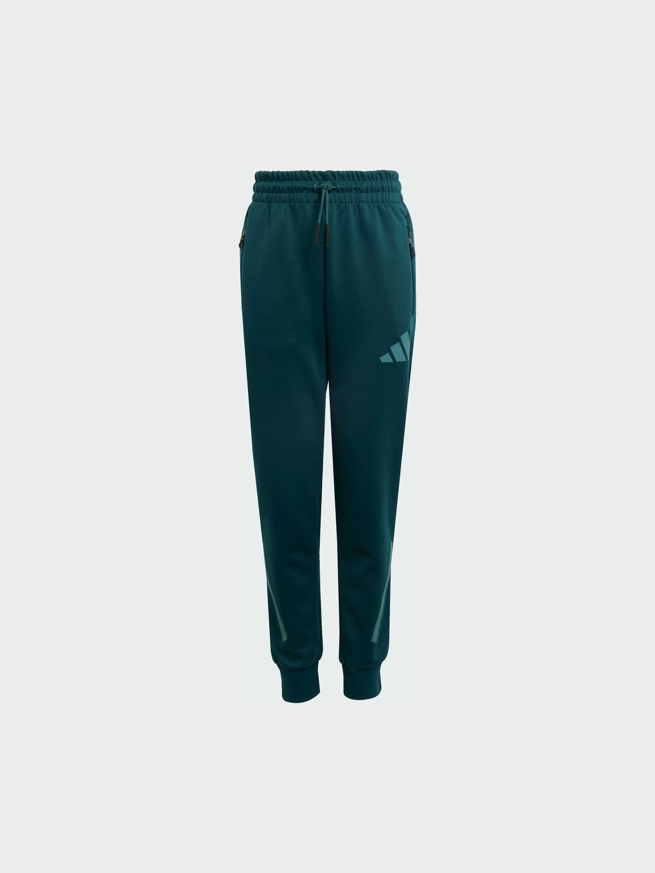 Штани Adidas ZNE модель JW2430 Фото