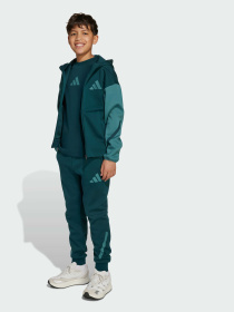 Штани Adidas ZNE модель JW2430 Фото
