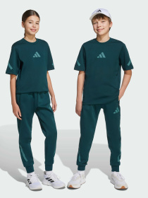 Брюки Adidas ZNE модель JW2430 Фото