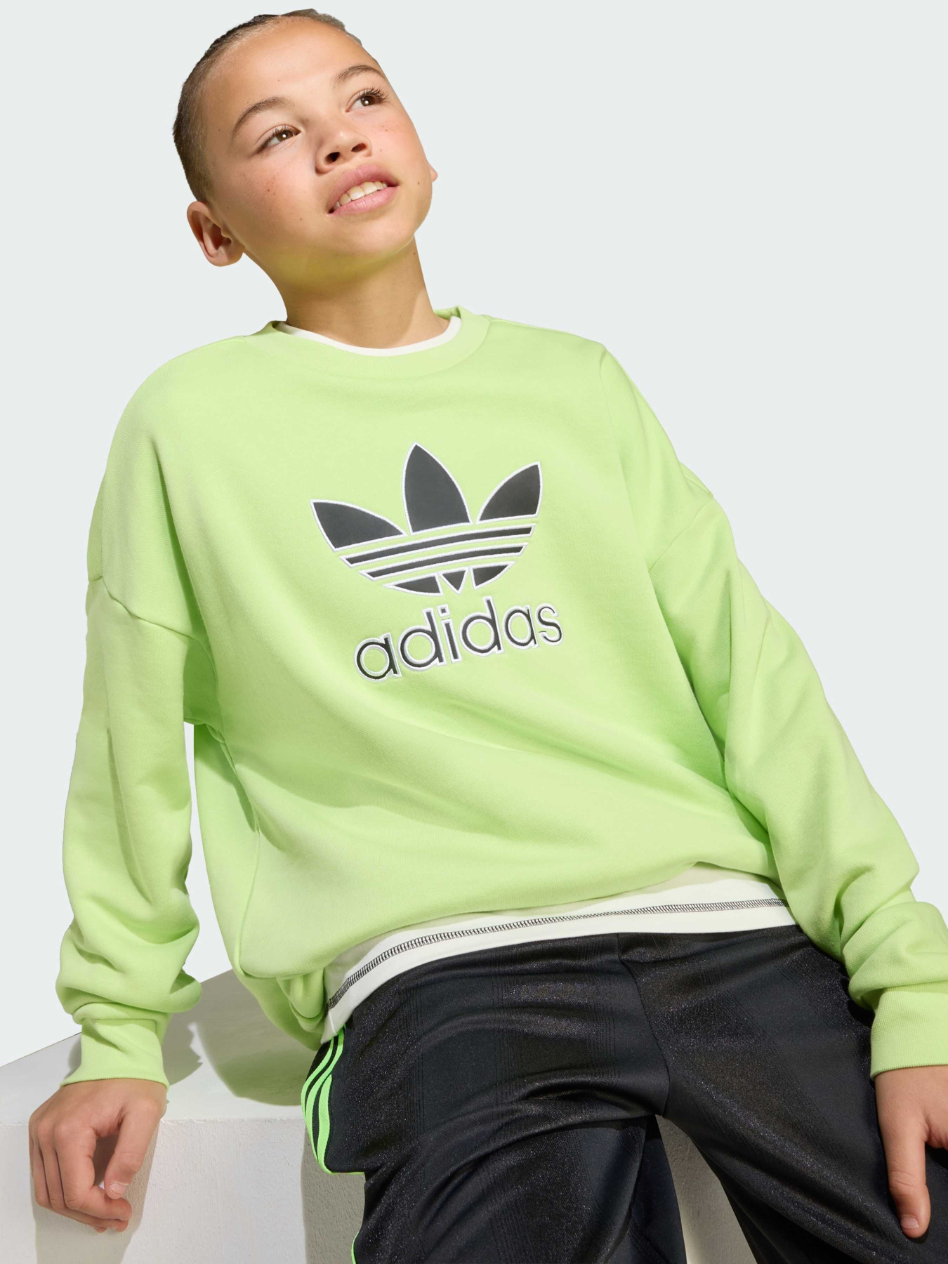 Худі та світшоти Adidas Adicolor модель JV8573 Фото